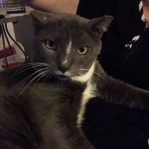 Meet your Posher, Paula